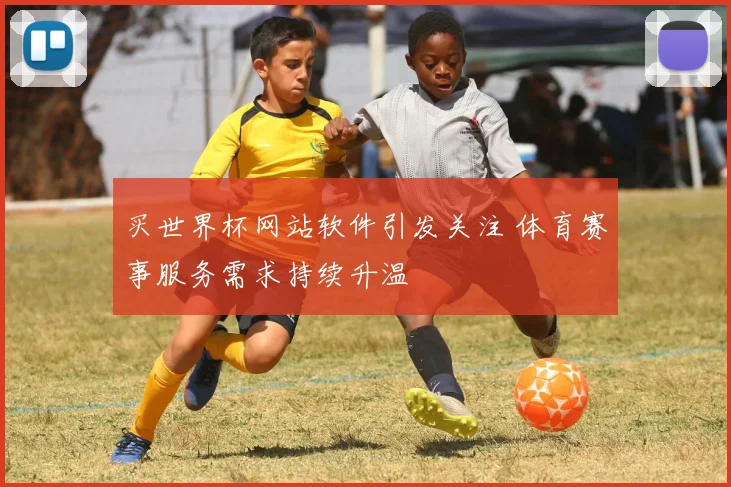 买世界杯网站软件引发关注 体育赛事服务需求持续升温