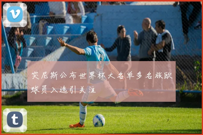 突尼斯公布世界杯大名单多名旅欧球员入选引关注