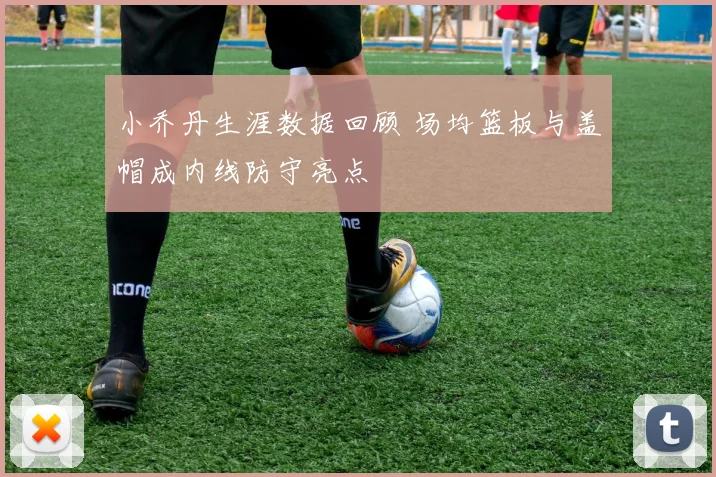 小乔丹生涯数据回顾 场均篮板与盖帽成内线防守亮点
