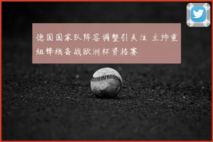 德国国家队阵容调整引关注 主帅重组锋线备战欧洲杯资格赛