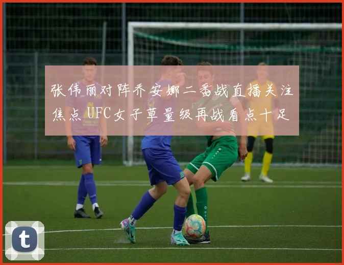 张伟丽对阵乔安娜二番战直播关注焦点 UFC女子草量级再战看点十足