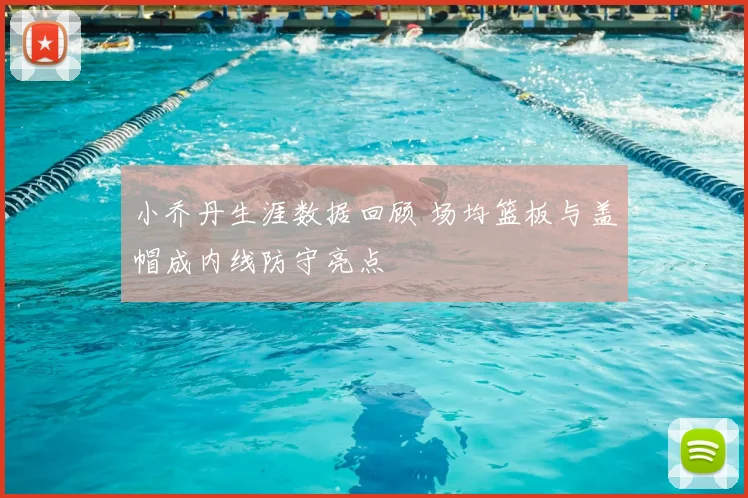 小乔丹生涯数据回顾 场均篮板与盖帽成内线防守亮点